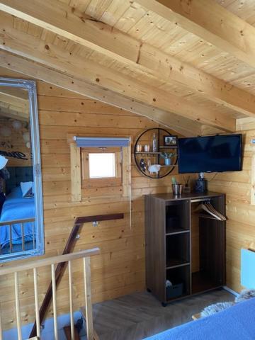 Tinyhouse Woody At The Water Leilighet Zaandam Eksteriør bilde